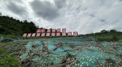 会禄高速新民隧道、周边民房建筑物入户调查